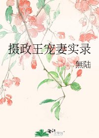 摄政王宠妻实录